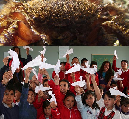 Picture of Crab and children holding up paper birds