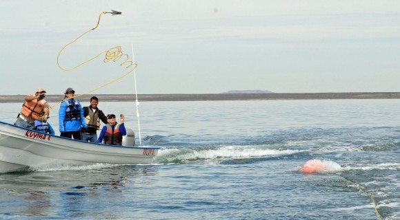 El taller salva a las ballenas en Laguna San Ignacio
